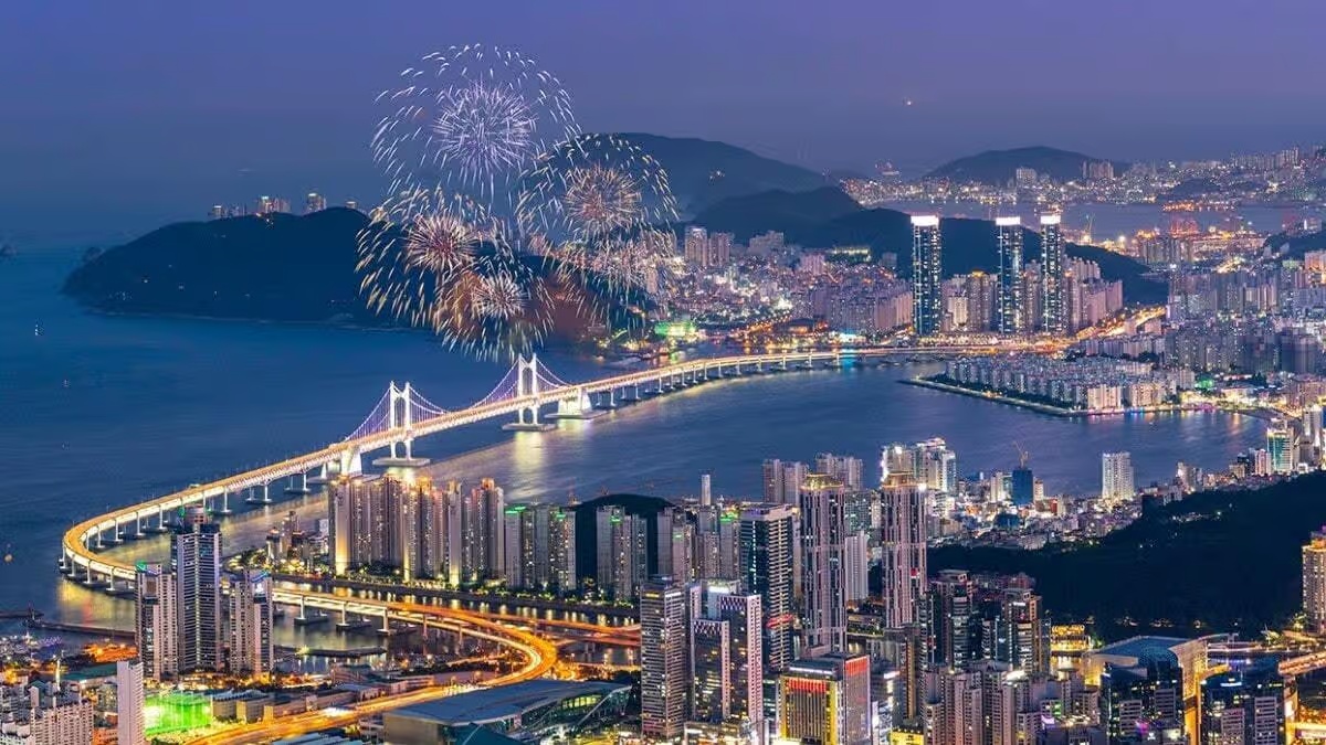 보글보글 토토 실체 분석